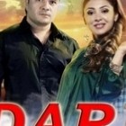 Дард