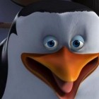 Цирковое представление «Веселые пингвины»