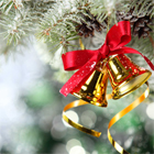 Предновогодний вечер в Ariston Park