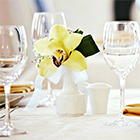 Акция от ресторана Ели-Пели