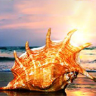 Выиграй путешествие в Таиланд