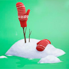 Акция от Erkatoy