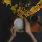 Акция от ТЧК Performance bar