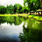 Акция в Golden Fish Resort