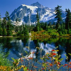 Акция в Charos