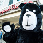 Black Bear Kofi (Samarqand Darvoza)