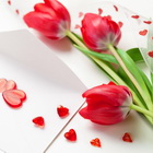 8 марта в Brand 910