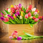 «На пятьдесят оттенков светлее» в Clun Castle