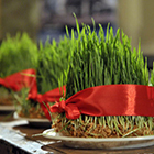 BRAND 910 Наврўз байрами