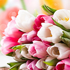 Womens Evening в Prestige