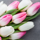 Women's Day в ресторане Na nebe