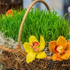 Навруз в ресторане  «Воздух»