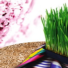 Сумаляк Party в Bourbon Restaurant