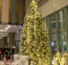 НОВОГОДНЮЮ ЕЛКУ ТОРЖЕСТВЕННО ЗАЖГЛИ В HILTON TASHKENT CITY