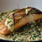 Вкусные, Уютные и Музыкальные Вечера в Shosh Restaurant & Terrace