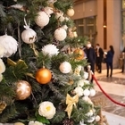 Новогодний Сезон В Hilton Tashkent City