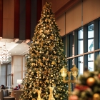 Новогодняя Ночь в Отеле Hilton Tashkent City