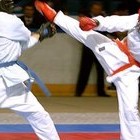 Международный турнир по рукопашному бою среди профессионалов R1