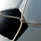 DI Sport MINI 2013