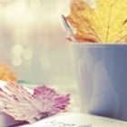 ТОП 5 книг этой осени