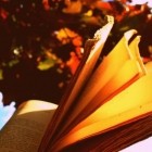 Книжное воскресенье: книги, от которых хочется жить.