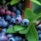 5 самых полезных ягод и фруктов